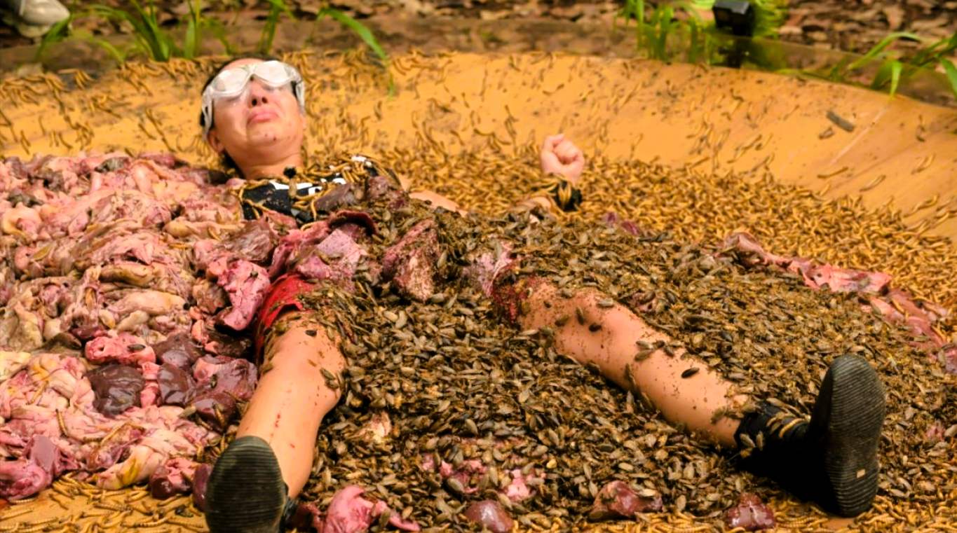 Dschungelcamp - Leyla sorgt für Eklat nach verlorenem Finale!