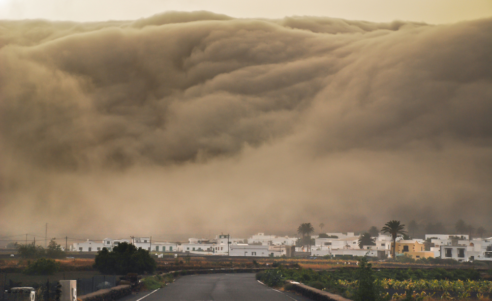 Massive Wave Drags Several Tourists into the Sea! Spanish Holiday Island Turns into Nightmare