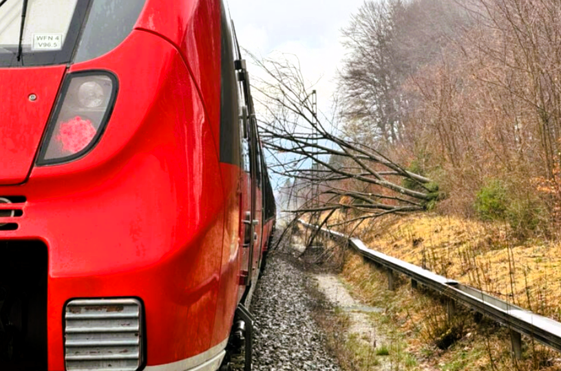 Zugunglück in Bayern! Baum stürzt auf Bahn, Passagier erleidet Herzinfarkt!