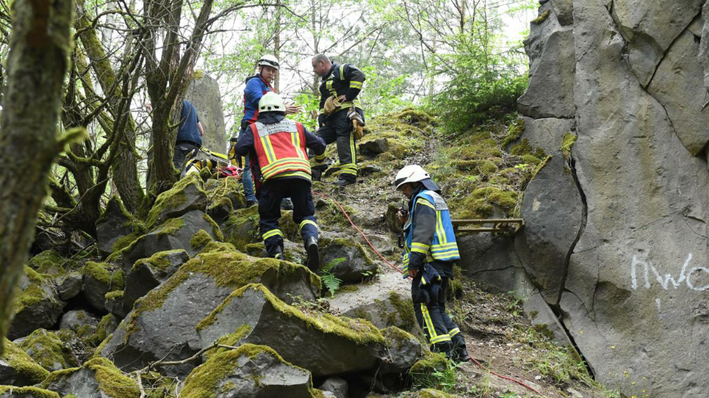 Wander-Ehepaar trifft auf Bär - Frau kommt bei Flucht ums Leben!