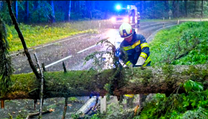 Sturmalarm in Deutschland! Stürzende Bäume verletzen Menschen und richten schweren Schaden an!
